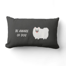 Cute Fluffy White Pomeranian - Wees op de hoogte v