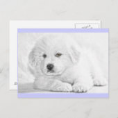 Cute Fluffy White Puppy Briefkaart (Voorkant / Achterkant)
