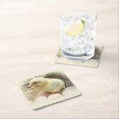 Cute Fluffy Yellow Baby Chicken in Basket Kartonnen Onderzetters (Insitu)