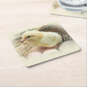 Cute Fluffy Yellow Baby Chicken in Basket Kartonnen Onderzetters (Schuin)
