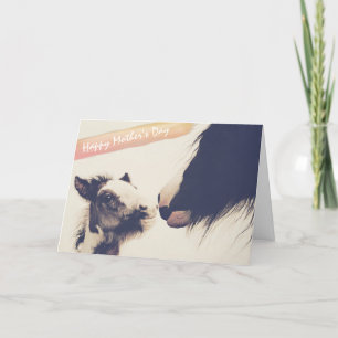 Cute Foal and Mare Horse Happy Moederdag Kaart