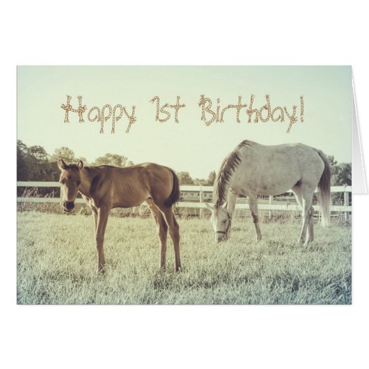 Cute Foal Horse Animals Custom Birthday Kaart (Voorkant Horizontaal)