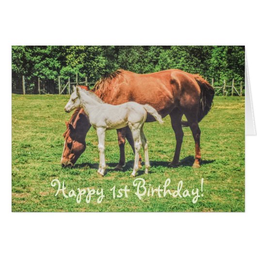 Cute Foal Horse Animals Custom Happy 1st Birthday (Voorkant Horizontaal)