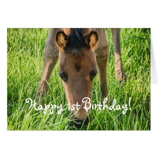 Cute Foal Horse Animals Happy Birthday (Voorkant Horizontaal)