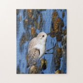 Cute Foraging Sanderling Sandpiper op winterstrand Legpuzzel (Verticaal)
