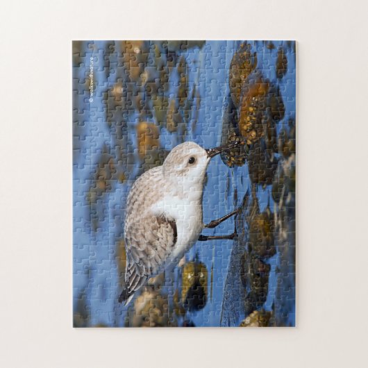 Cute Foraging Sanderling Sandpiper op winterstrand Legpuzzel (Verticaal)