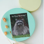 Cute Forest Raccoon Foto Funny Birthday Kaart<br><div class="desc">Deze populaire,  grappige verjaardagskaart kenmerkt het foto-afbeelding van een schattig,  bosareaal dat voor de camera poetst. Selecteer uit steen of glanzende stijlkaart.</div>
