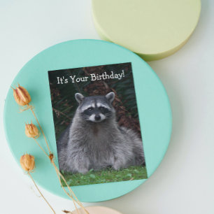 Cute Forest Raccoon Foto Funny Birthday Kaart