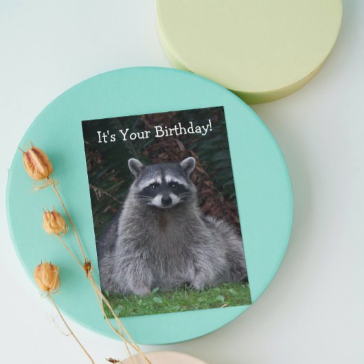 Cute Forest Raccoon Foto Funny Birthday Kaart