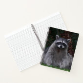 Cute Forest Raccoon Wildlife Photo Notitieboek (Binnen)