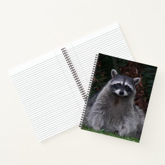 Cute Forest Raccoon Wildlife Photo Notitieboek (Binnen)