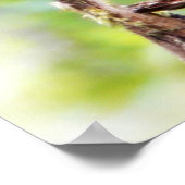 Cute foto van een klein eekhoorntje poster (Hoek)