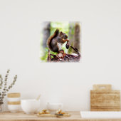 Cute foto van een klein eekhoorntje poster (Keuken)