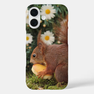 Cute foto van rode eekhoorn en madeliefjes iPhone 16 hoesje