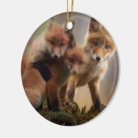 Cute Fox Family Keramisch Ornament (Links)