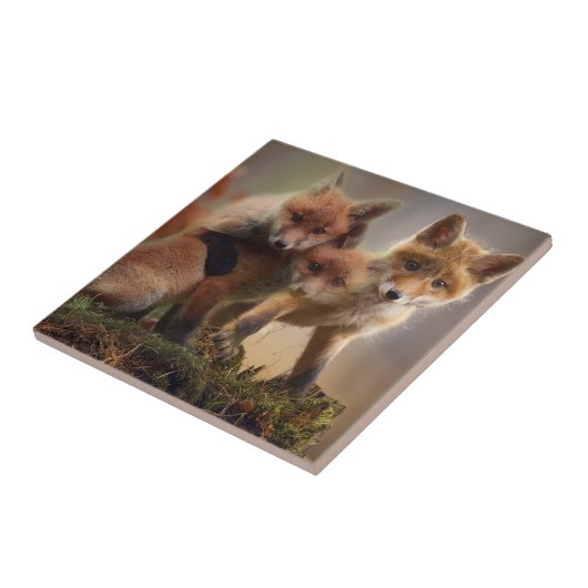 Cute Fox Family Tegeltje (Zijkant)