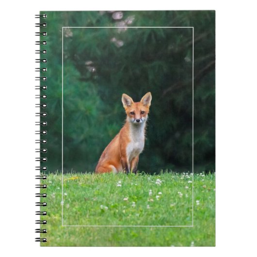 Cute Fox Notitieboek (Voorkant)