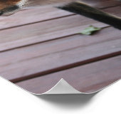 Cute Fox Photo Gezegde Poster (Hoek)