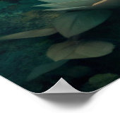 Cute Fox Poster (Hoek)