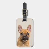 Cute French Bulldog Bagagelabel (Voorkant verticaal)