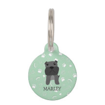 Cute French Bulldog Dog Name