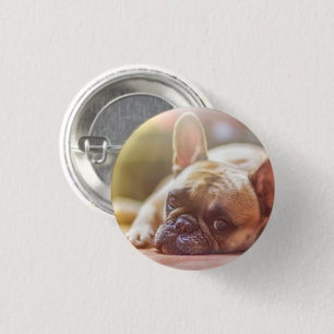 Cute French Bulldog Face, neergaande Ronde Button 3,2 Cm