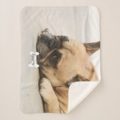 Cute French Bulldog Frenchie Puppy Name Bone Sherpa Deken (Voorkant)