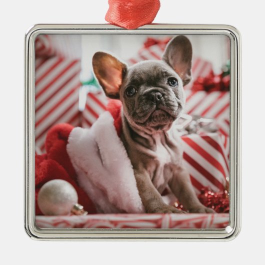 Cute French Bulldog kerstversiering Metalen Ornament (Voorkant)