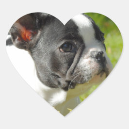 Cute French bulldog op gras Hart Sticker