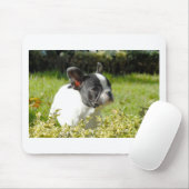 Cute French bulldog op gras Muismat (Met muis)