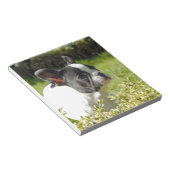 Cute French bulldog op gras Notitieblok (Schuin)