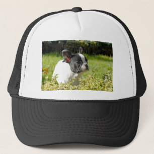 Cute French bulldog op gras Trucker Pet
