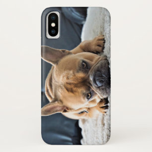 Cute French Bulldog Photo Case