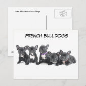Cute French Bulldog Puppies Briefkaart (Voorkant / Achterkant)