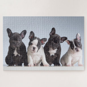 Cute French Bulldog Puppies Legpuzzel