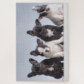 Cute French Bulldog Puppies Legpuzzel (Verticaal)