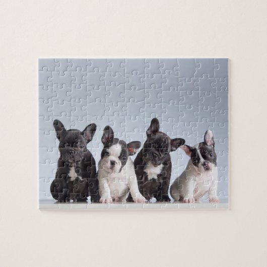 Cute French Bulldog Puppies Legpuzzel (Horizontaal)