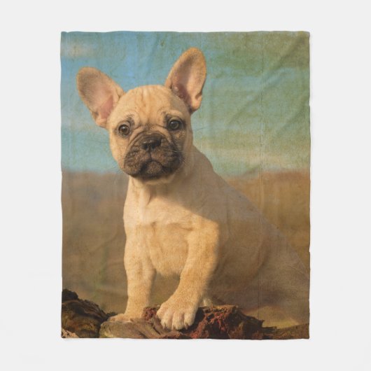 Cute French Bulldog Puppy,  comfort Fleece Deken (Voorkant)