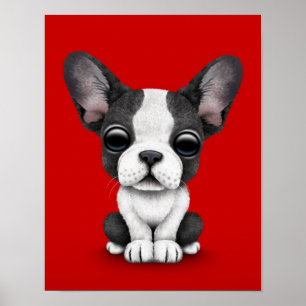 Cute French Bulldog Puppy Dog on Red Poster