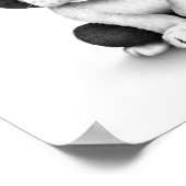 Cute French Bulldog Puppy Dog on White Poster (Hoek)