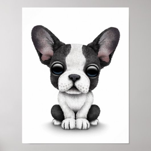 Cute French Bulldog Puppy Dog on White Poster (Voorkant)
