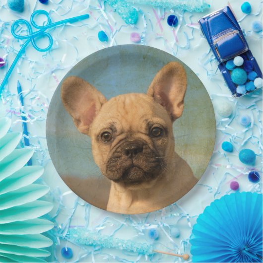 Cute French Bulldog Puppy , Happy Party Papieren Bordje (Feest)
