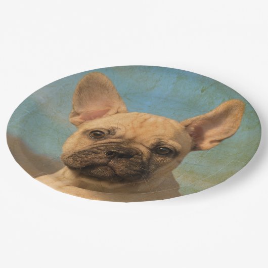 Cute French Bulldog Puppy , Happy Party Papieren Bordje (Gekanteld)
