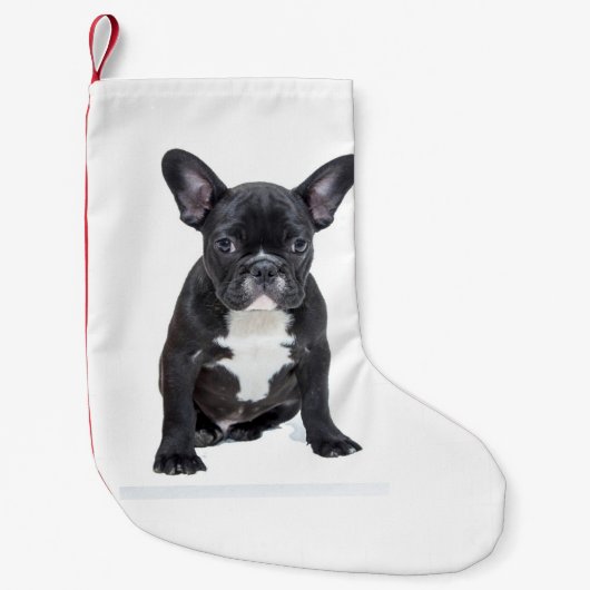 Cute French Bulldog Puppy Kleine Kerstsok (Voorkant)