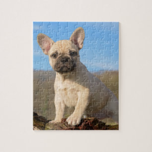Cute French Bulldog puppy Legpuzzel