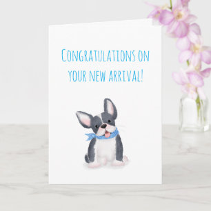 Cute French bulldog puppy new pet card Kaart