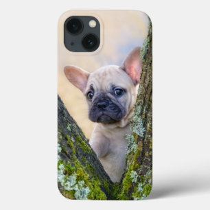Cute French Bulldog Puppy Posing in a Branch Fork Case-Mate iPhone Case
