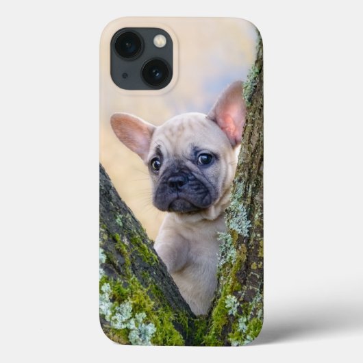 Cute French Bulldog Puppy Posing in a Branch Fork Case-Mate iPhone Case (Achterkant)