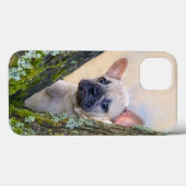 Cute French Bulldog Puppy Posing in a Branch Fork Case-Mate iPhone Case (Achterkant (horizontaal))