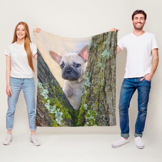 Cute French Bulldog Puppy Posing in a Branch Fork Fleece Deken (In situ)